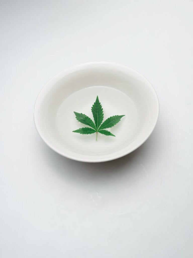 Russellville Medical Marijuana Card